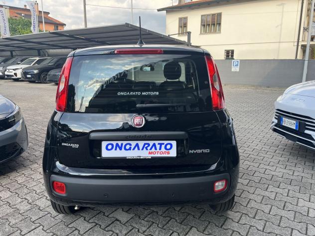 FIAT Pandina 1.0 FireFly 65cv S&S Hybrid Icon VARI COLORI - Foto 6
