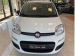 FIAT Panda 1.0 FireFly S&S Hybrid rif. 23953576