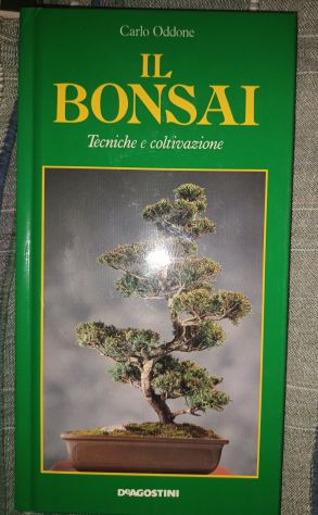 Bonsai Tecniche di coltivazione 3