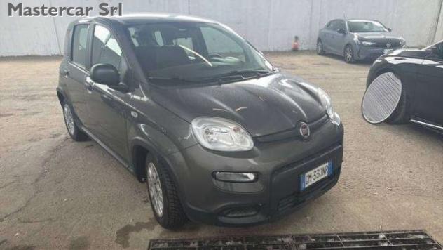 FIAT Panda Panda NEOPATENTATI 1.0 firefly hybrid TG : GM330N rif. 23811447 - Foto 3