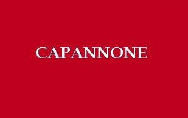 Capannone artigianale in vendita a La Capannina di Cevoli - Casciana Terme Lari 235 mq Rif: 1450443 - Foto 2