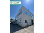 MQ 3.100 ROMA, ZONA TOR CERVARA, Rif.V-643.