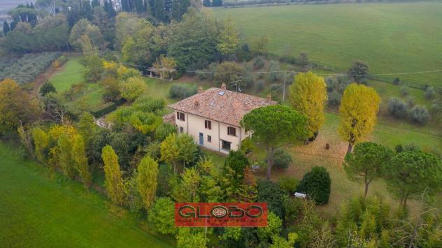 CALISESE di Cesena - VILLA in OTTIMO STATO con AMPIO PARCO PRIVATO ( 16.025 mq. ) - UNICA !! - Foto 11