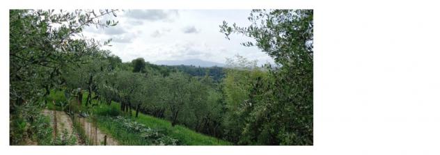 Appartamento in vendita a San Miniato 110 mq Rif: 983332 - Foto 8