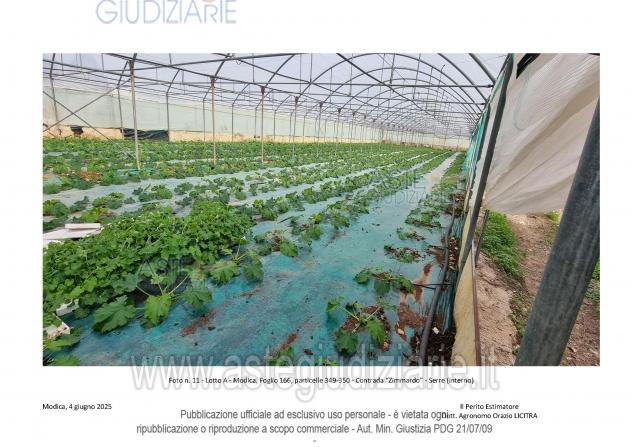 IMMOBILI-ALTRA CATEGORIA-Contrada Zimmardo-Bellamagna - Foto 3