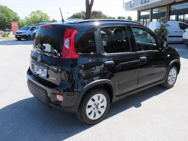 FIAT Panda 1.0 FireFly S&S Hybrid City Life rif. 23914591 - Foto 5