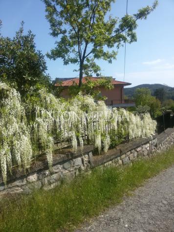Semindipendente in vendita a Monterosso al Mare - Foto 14