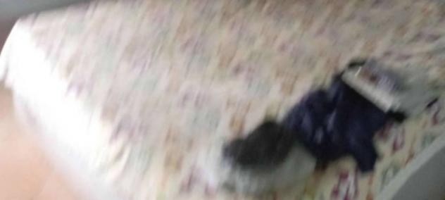 Immobile in asta di 57 m² in vendita a Sannazzaro de' Burgondi - Foto 19