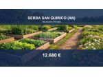 Immobile in asta di 42298 m² in vendita a Serra San Quirico