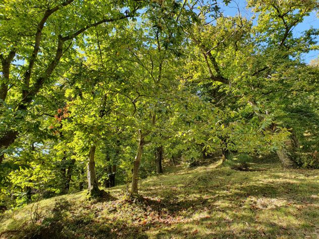 Relax sull'Appennino e tendata sotto le stelle 2 notti - Foto 2