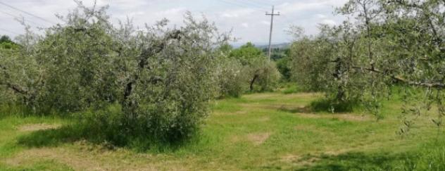 Immobile in asta di 124 m² in vendita a Cetona - Foto 8