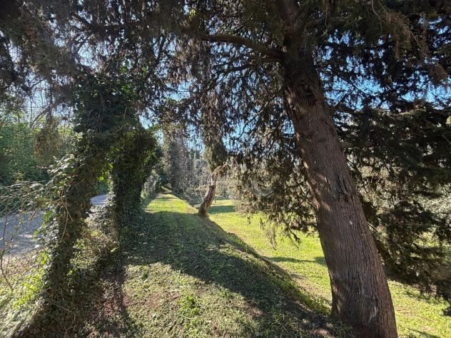 Terratetto in vendita a Forcoli - Palaia 170 mq Rif: 1395303 - Foto 10