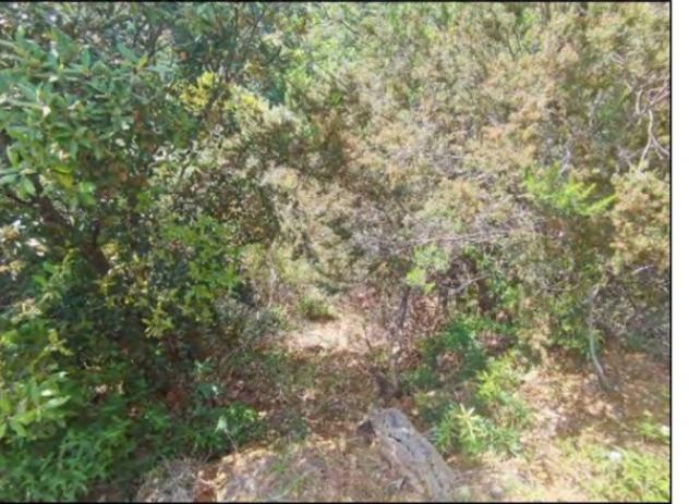 Immobile in asta di 561 m² con più di 5 locali in vendita a San Demetrio Corone - Foto 8