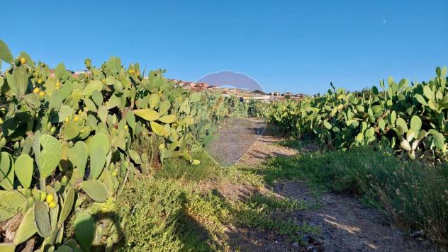 Terreno in vendita a Paternò - Foto 5