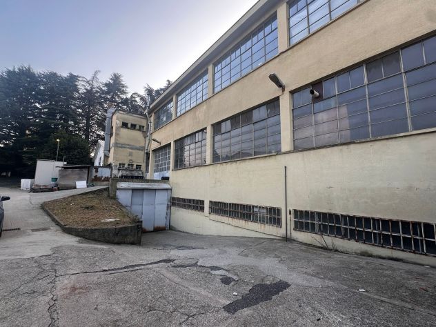 CAPANNONE SEMINDIPENDENTE CON AREA AD USO ESCLUSIVO - Foto 10