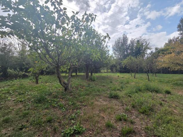 Annesso agricolo in vendita a Castelfranco di Sotto 2600 mq Rif: 1353276 - Foto 2