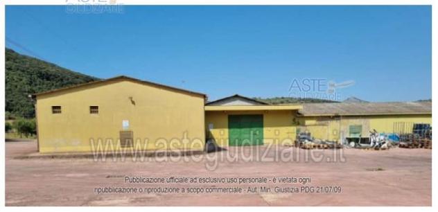 IMMOBILI-IMMOBILE COMMERCIALE-Via Madonna delle Grazie, 31, 04015 Pruneto LT, Italia - Foto 3