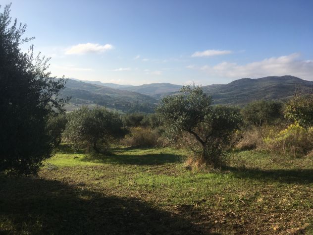 Casteldaccia - CA101 - Terreno in Verde Agricolo - Foto 6