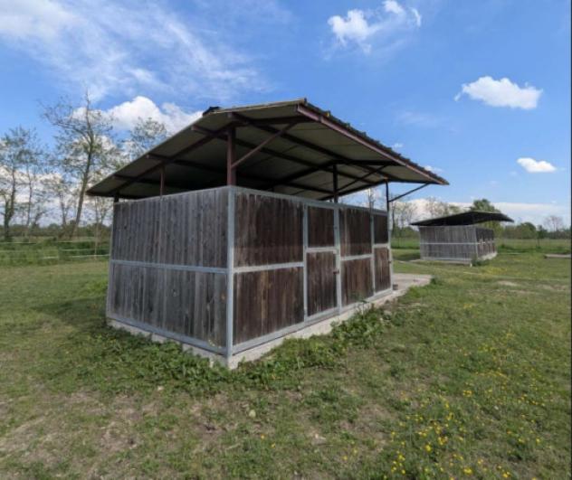 Immobile in asta di 232 m² in vendita a Momo - Foto 10