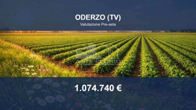 Immobile in asta di 82824 m² in vendita a Oderzo