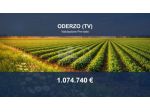 Immobile in asta di 82824 m² in vendita a Oderzo