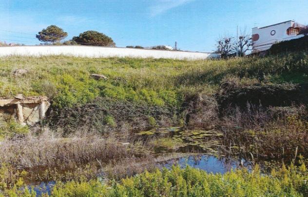 Immobile in asta di 4106 m² in vendita a Santa Marinella - Foto 6