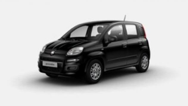 FIAT Panda 3ª serie Panda 1.0 FireFly S&S Hybrid - Foto 2