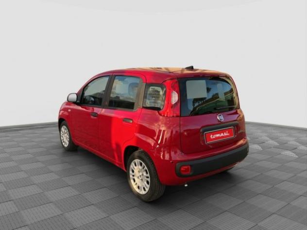 FIAT Pandina Pandina 1.0 FireFly 65 CV Hybrid Icon rif. 24122144 - Foto 3