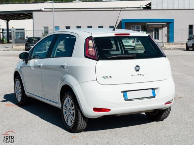 FIAT Punto 1.4 NATURAL POWER 5 PORTE EASY rif. 23816286 - Foto 4