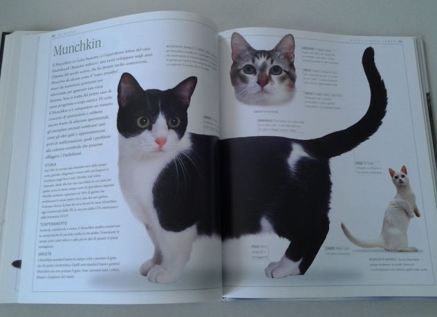 Il libro completo del gatto - Foto 8