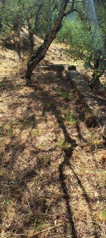 Terreno agricolo in vendita a Calci 7500 mq Rif: 1338268 - Foto 10