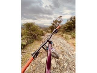 Tour guidati in Mountain bike
