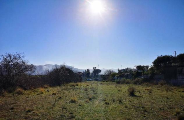 Immobile in asta di 7080 m² in vendita a Ceriale - Foto 4