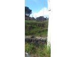 Terreno Edificabile in vendita a Pedara