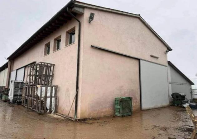 Immobile in asta di 40655 m² in vendita a Morgano - Foto 4