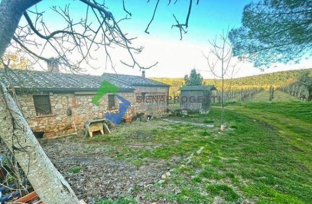 Appartamenti in antica Colonica recentemente ristrutturata con vista sul Castello di Monteriggioni, Siena, Toscana. - Foto 14