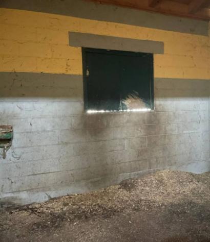 Immobile in asta di 4058 m² in vendita a Castel San Giovanni - Foto 20