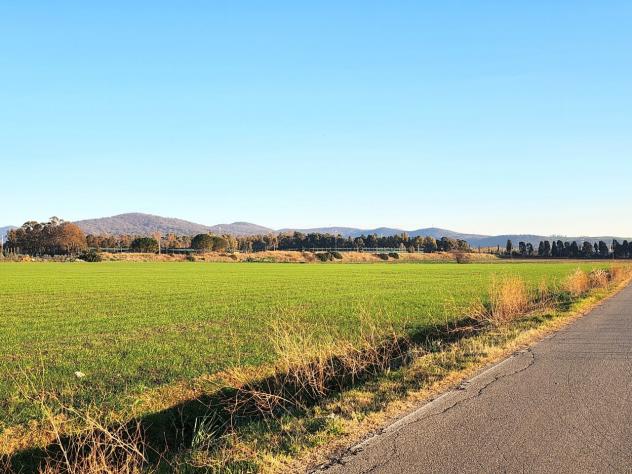 Industriale in vendita a Tarquinia - Foto 4