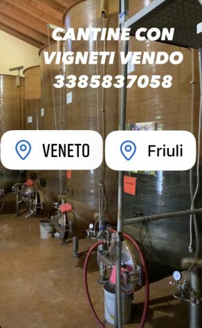 CANTINE CON VIGNETI DI PROSECCO DOC