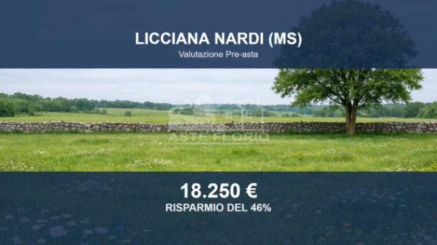 Immobile in asta di 14086 m² in vendita a Licciana Nardi