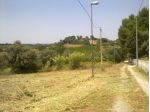 Seminativo in vendita a Siracusa