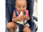 Ginevra cerca una babysitter - lavoro da babysitter a Padova