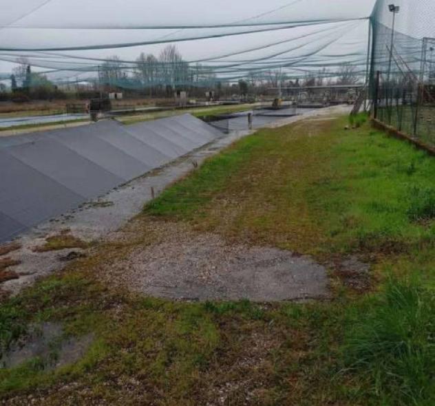 Immobile in asta di 999 m² in vendita a Treviso - Foto 2