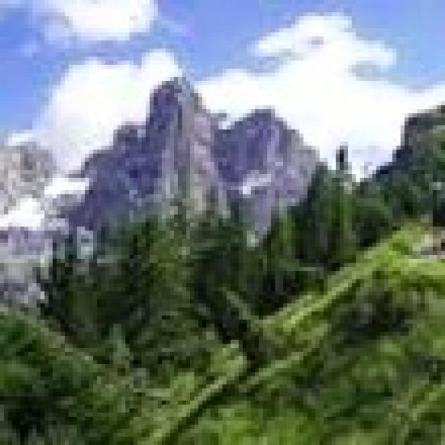 Albergo Alpina di Aldrighetti Romeo & C. S.n.c. - Foto 2