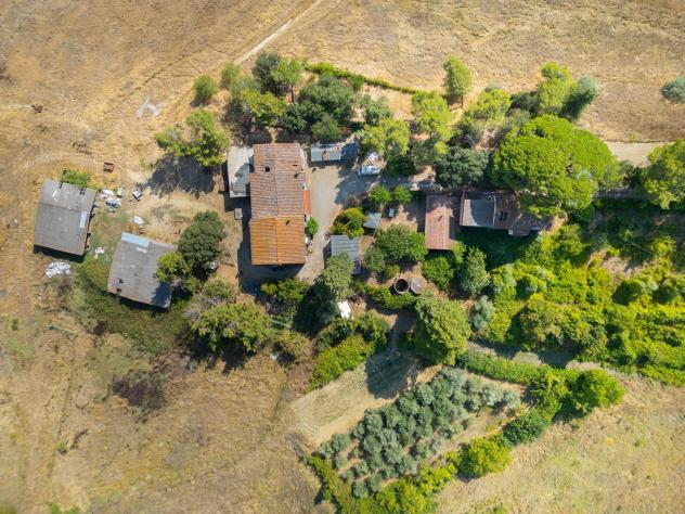 Azienda agricola in vendita a Terricciola 1000 mq Rif: 1427123 - Foto 3