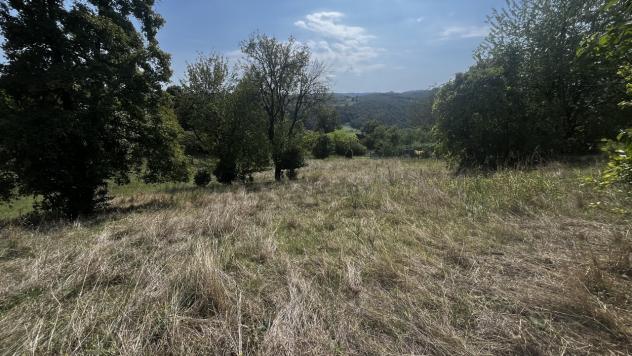 Seminativo in vendita a Altavilla Vicentina - Foto 2