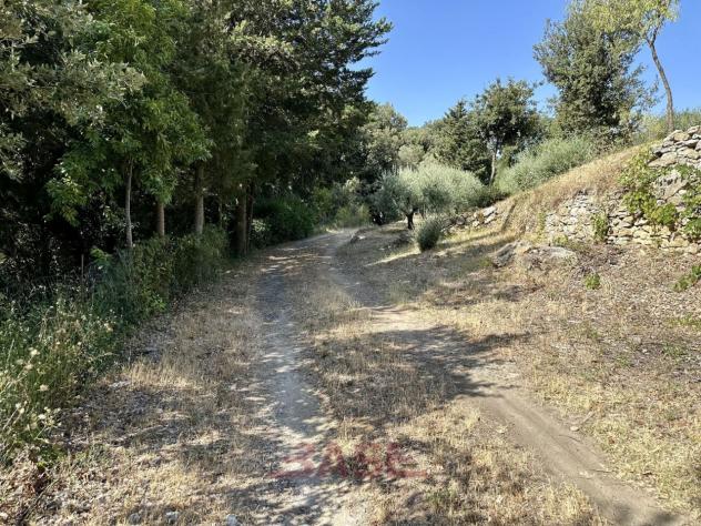 Terreno edificabile in vendita a Casale Marittimo - Foto 17