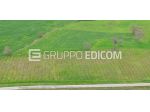 Terreno di 10780 mq  in vendita a Circello - Rif. 4546290