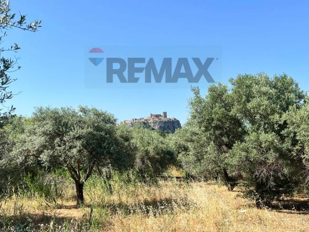 Terreno in vendita a Motta Sant'Anastasia - Foto 7
