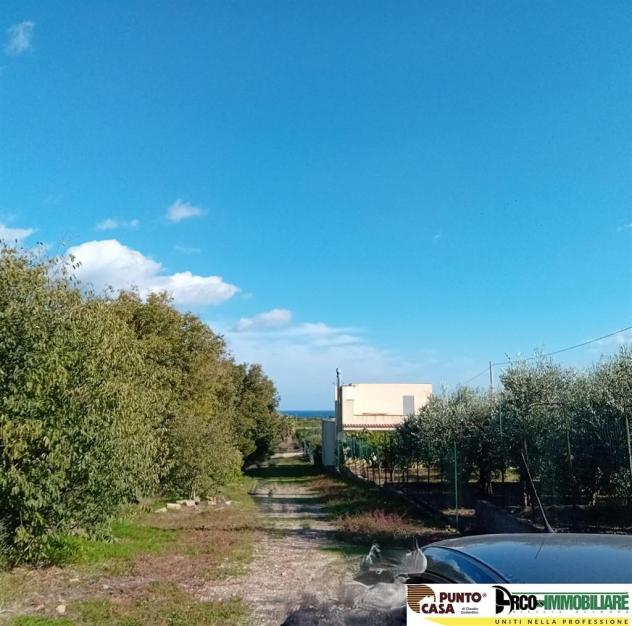 Via Galletti vendesi terreno agricolo 11.000 mq, pianeggiante - Foto 2